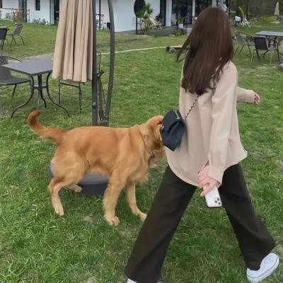 柳堡的故事